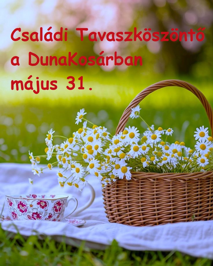 CsaládiNap