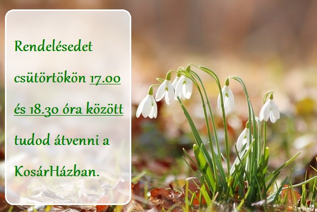 Hóvirágos rendelés