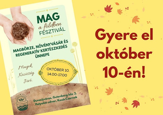 Mag a földben